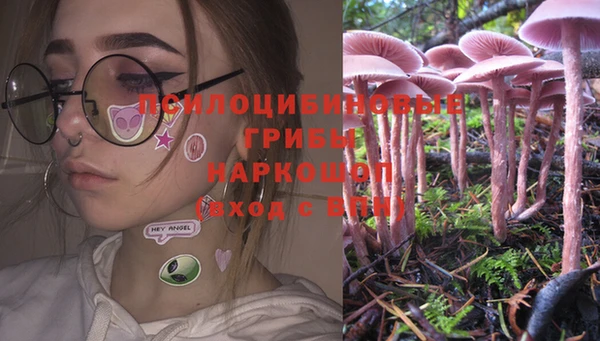 прущие грибы Лагань
