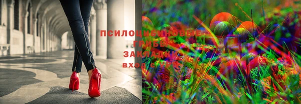 мескалин Порхов